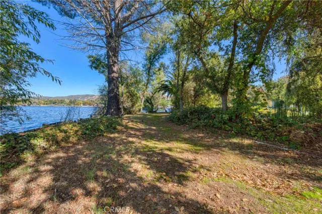 a view of a yard with a tree