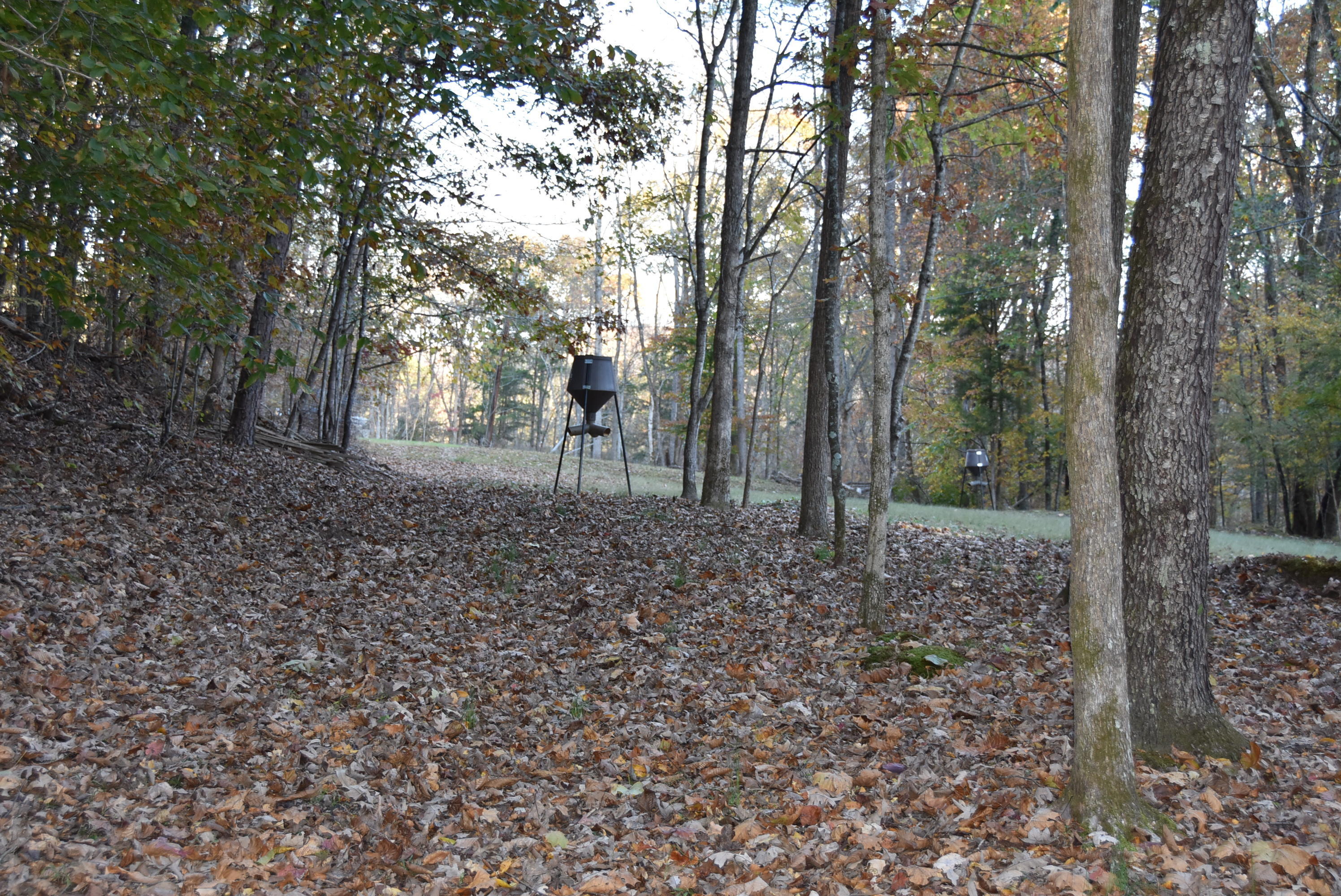 740 Harmon Road Somerset, KY 42501 - Photo 63 of 69 DSC_3272