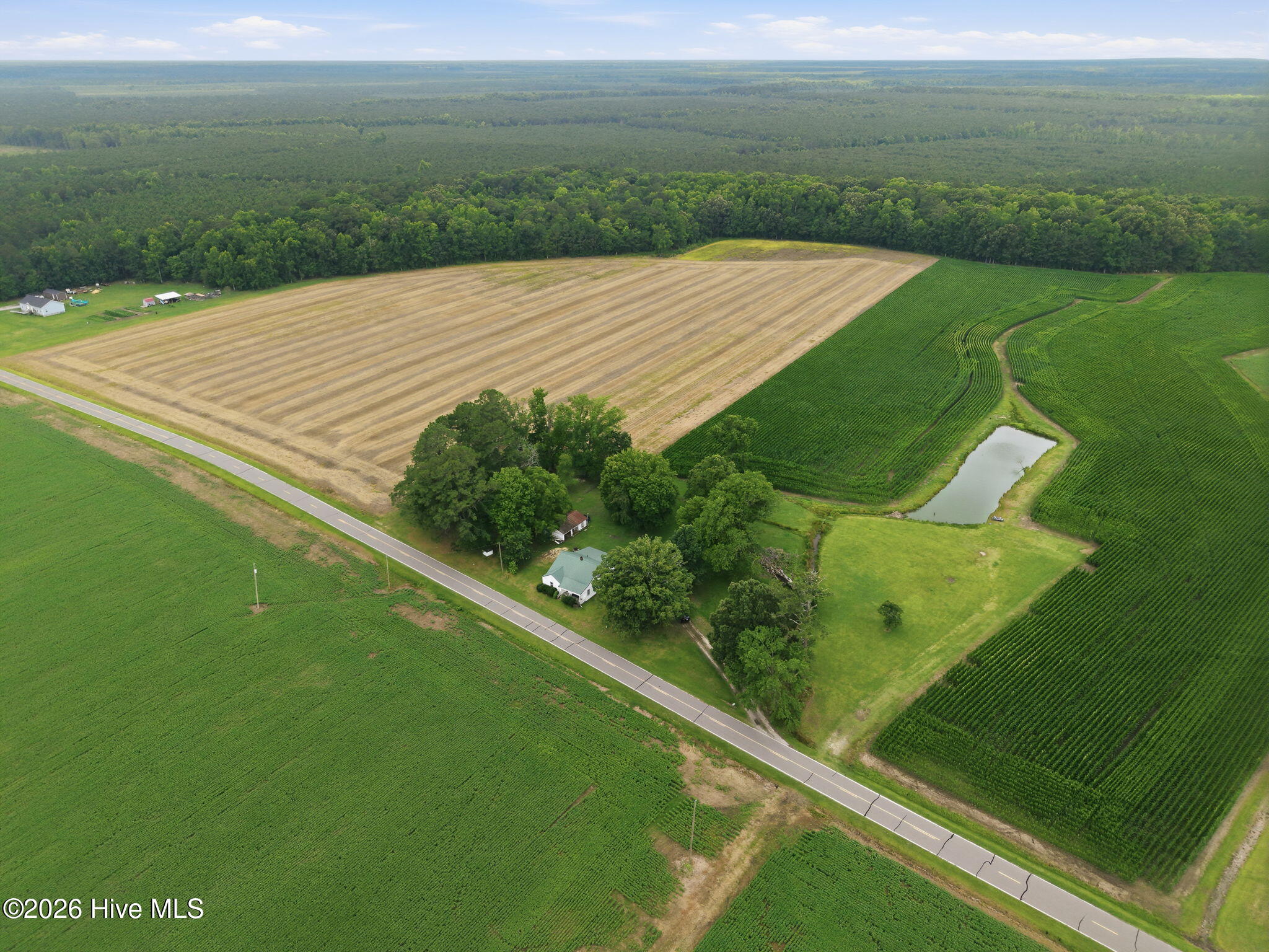 216 Karo White Road Windsor, NC 27983 - Photo 48 of 49