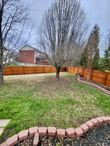 a view of a backyard with large tree