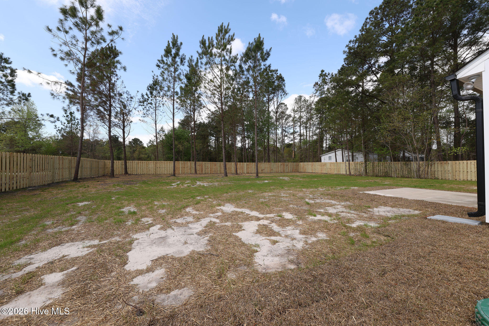 161 King Road Jacksonville, NC 28540 - Photo 6 of 45 Back Yard! Grass is growing!