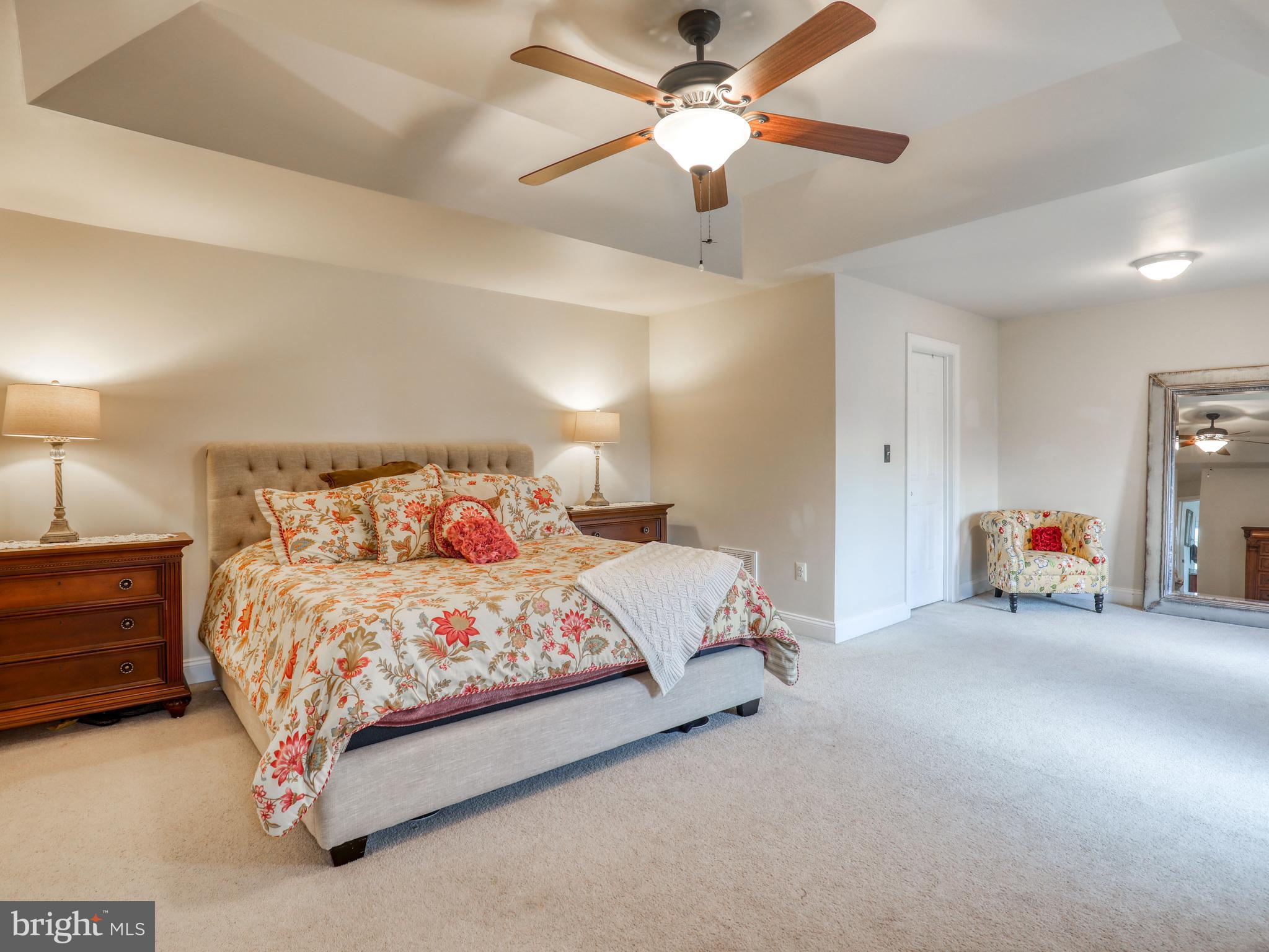 457 Canyon Road Winchester, VA 22602 - Photo 22 of 47 Trey ceiling