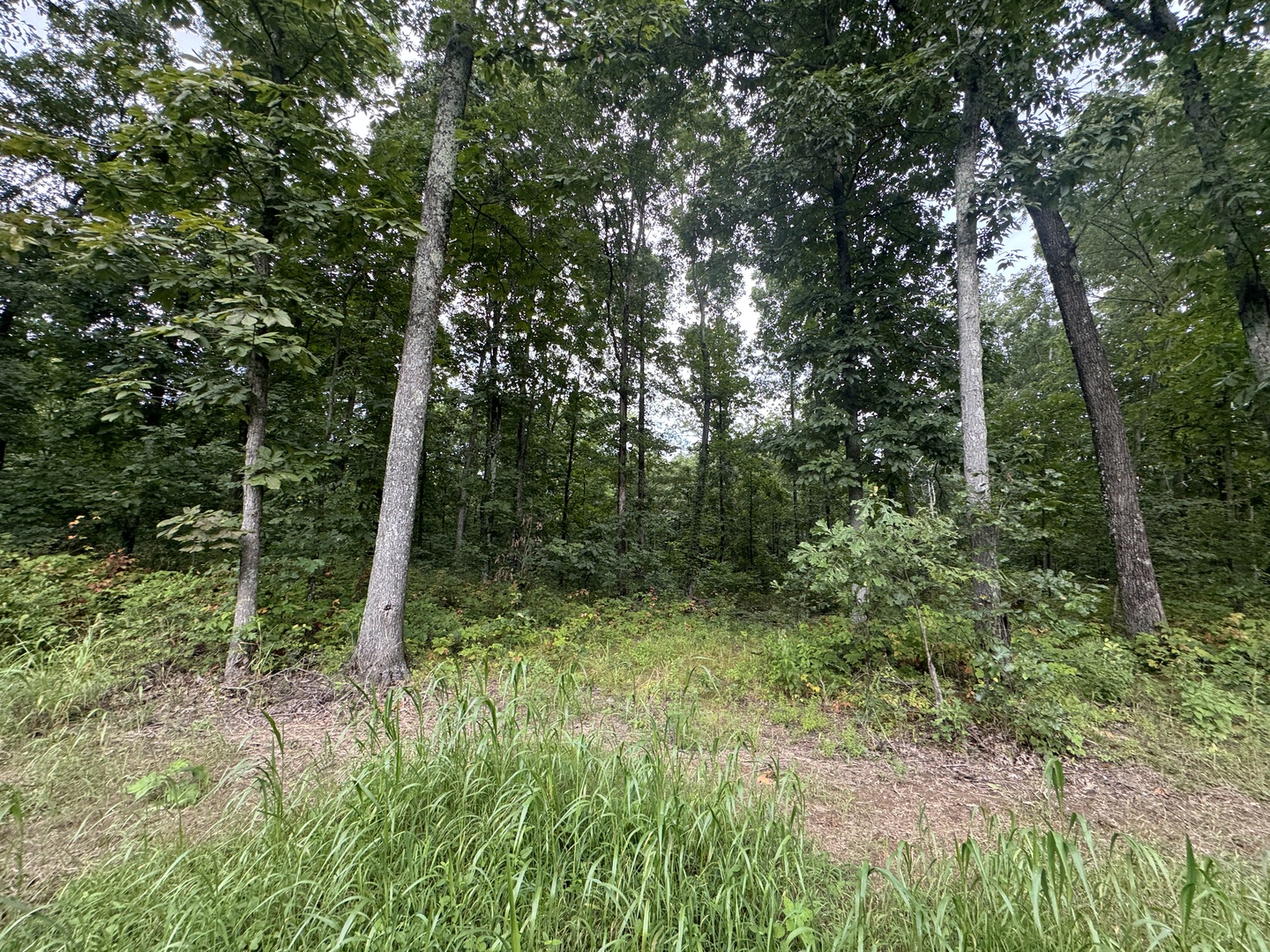 0 Iuka Road Iuka, IL 62849 - Photo 27 of 48 Gallery Image 27