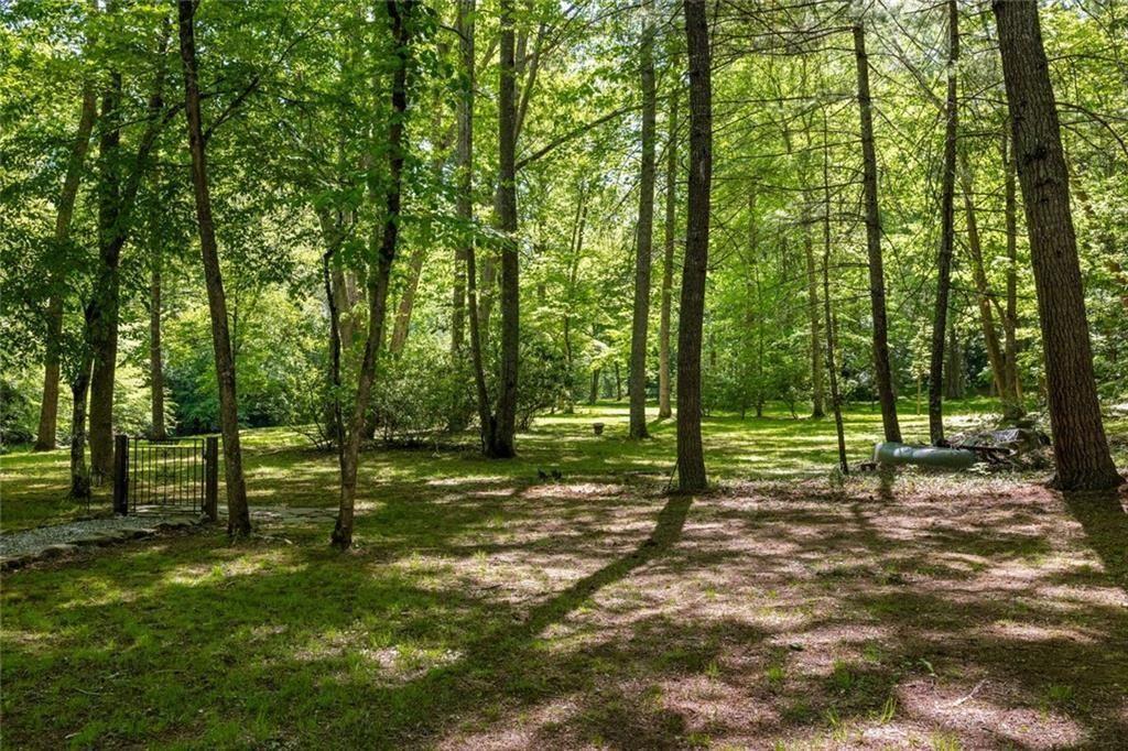 704 Riverbend Road Blairsville, GA 30512 - Photo 81 of 89 a view of a park with lots of trees