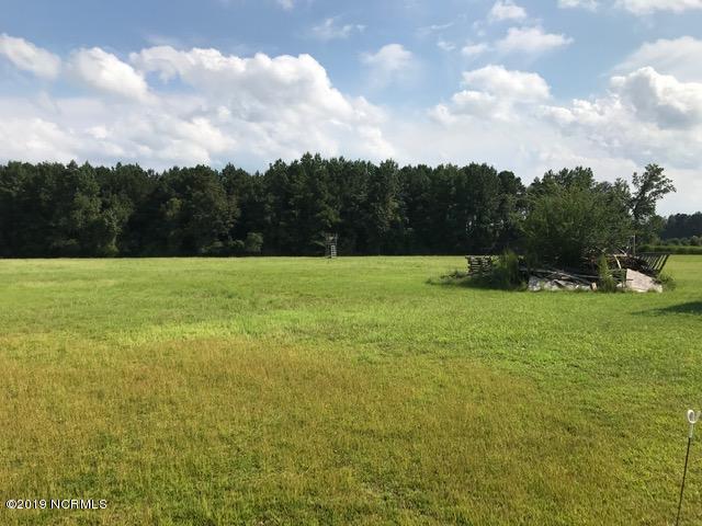 5825 B Gay Road Farmville, NC 27828 - Photo 6 of 12 center looking to woods