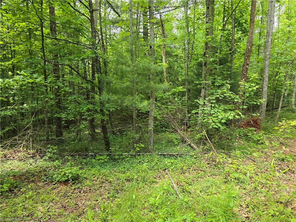 125 Ahart Ridge Road, Unit 100 Ararat, VA 24053 - Photo 14 of 26 Gallery Image 14
