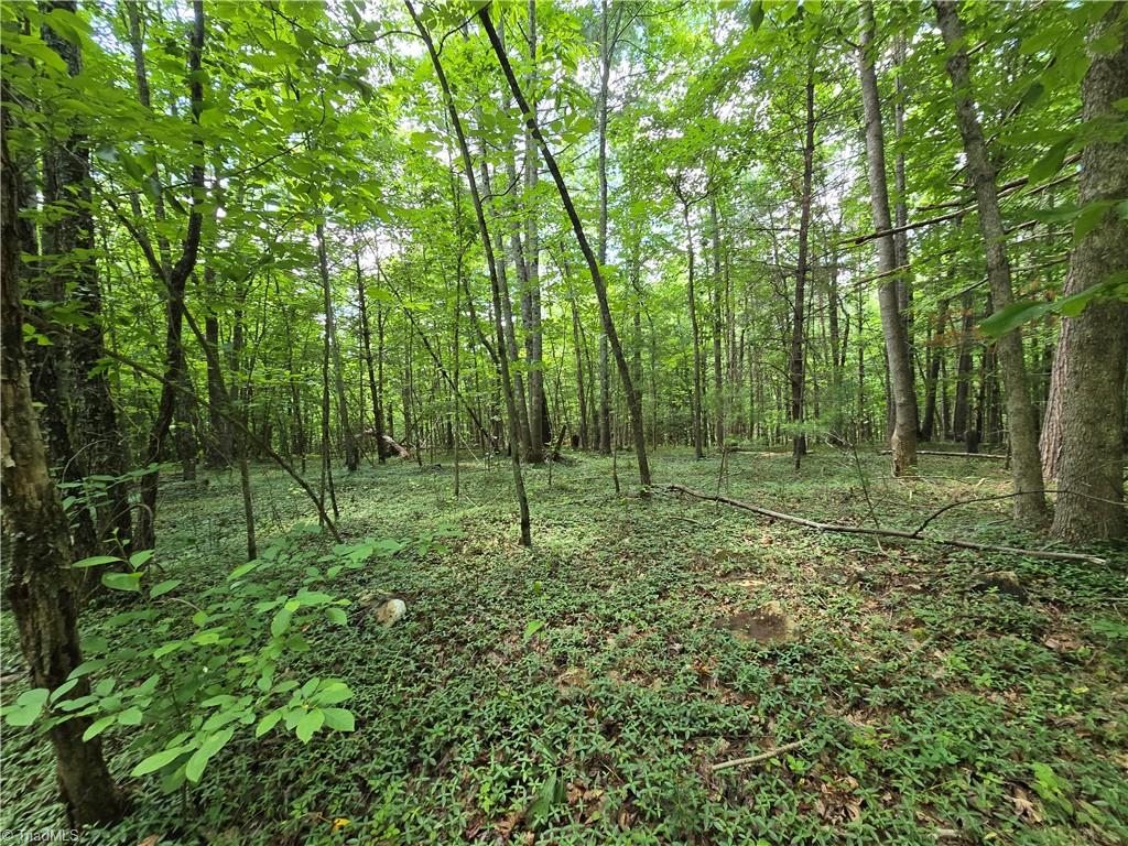 125 Ahart Ridge Road, Unit 100 Ararat, VA 24053 - Photo 15 of 26 Gallery Image 15