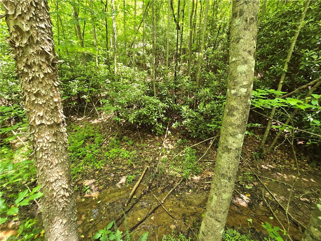 125 Ahart Ridge Road, Unit 100 Ararat, VA 24053 - Photo 21 of 26 Gallery Image 21