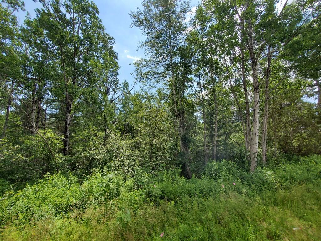 89 Timber Cove Road Lubec, ME 04652 - Photo 6 of 16 6 (Copy)