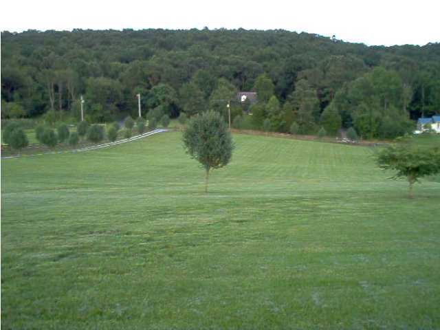 6001 Candies Creek Ridge Road Charleston, TN 37310 - Photo 4 of 9 Additional Photo