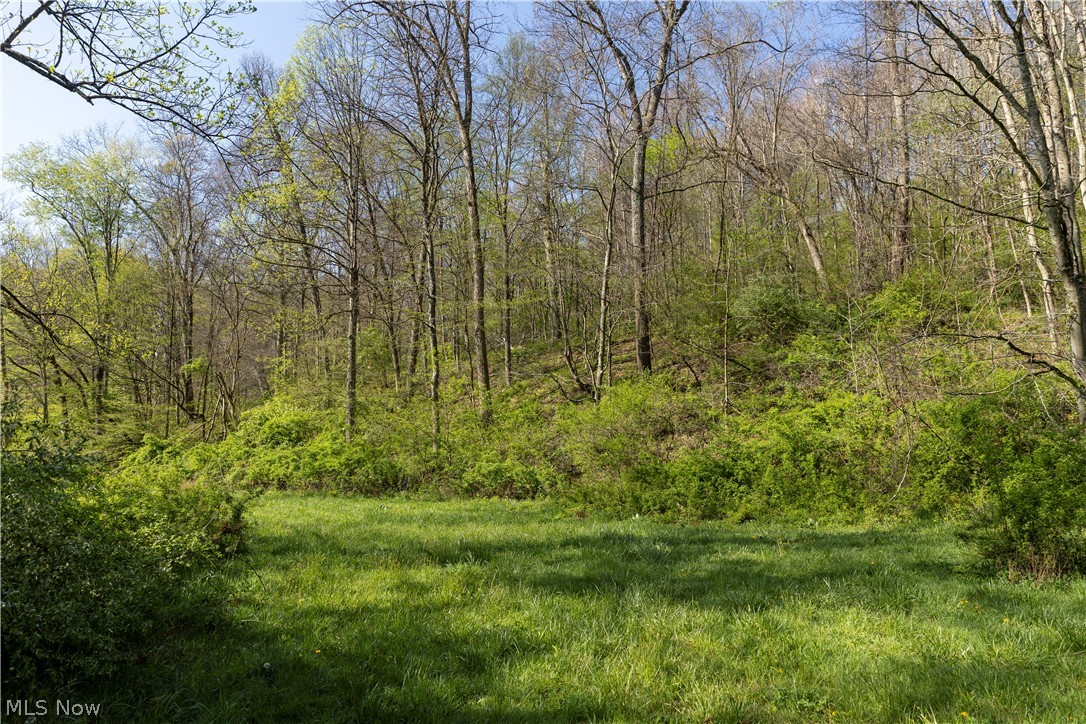80960 Burkhart Road Tippecanoe, OH 44699 - Photo 44 of 50