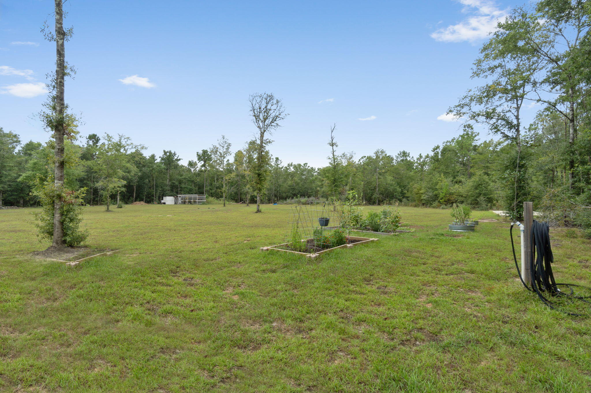 4642 Hardy Adams Road Holt, FL 32564 - Photo 28 of 46 28-web-or-mls-Final-10