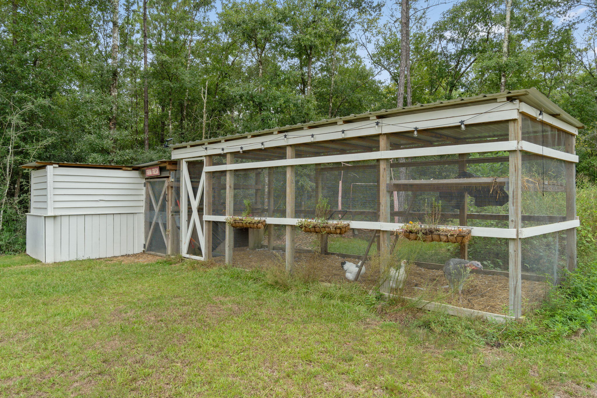 4642 Hardy Adams Road Holt, FL 32564 - Photo 30 of 46 30-web-or-mls-Final-7