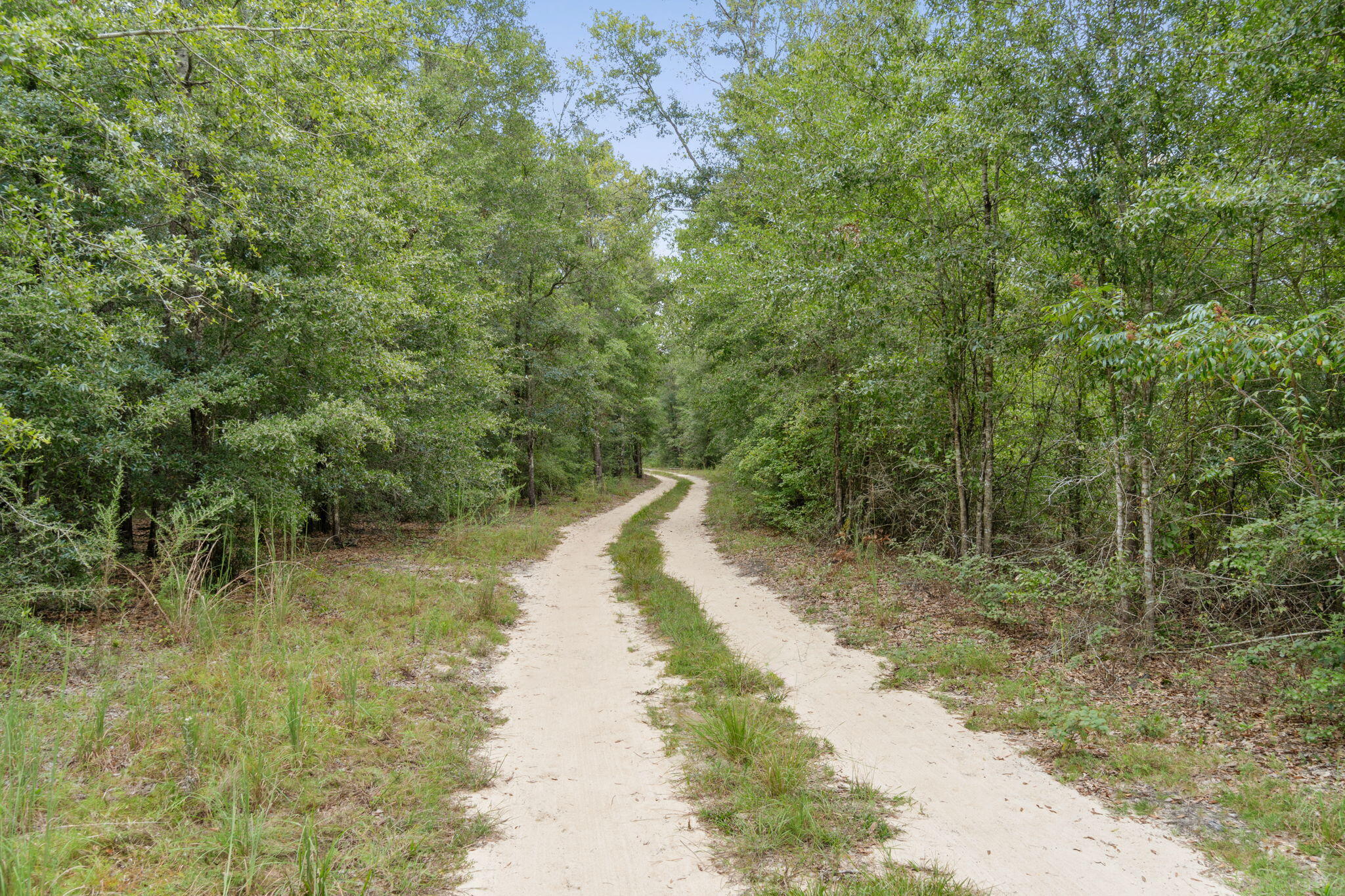 4642 Hardy Adams Road Holt, FL 32564 - Photo 32 of 46 32-web-or-mls-Final-12