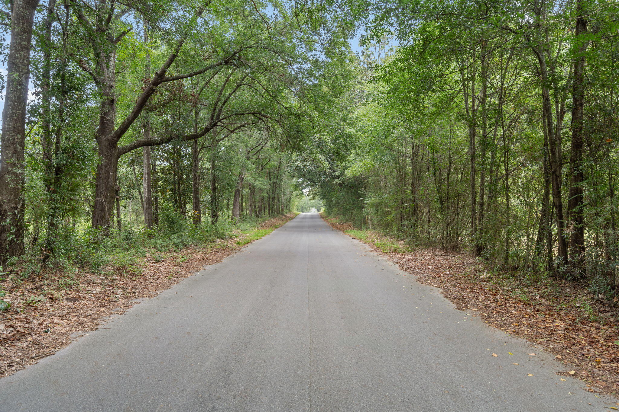 4642 Hardy Adams Road Holt, FL 32564 - Photo 33 of 46 33-web-or-mls-Final-33