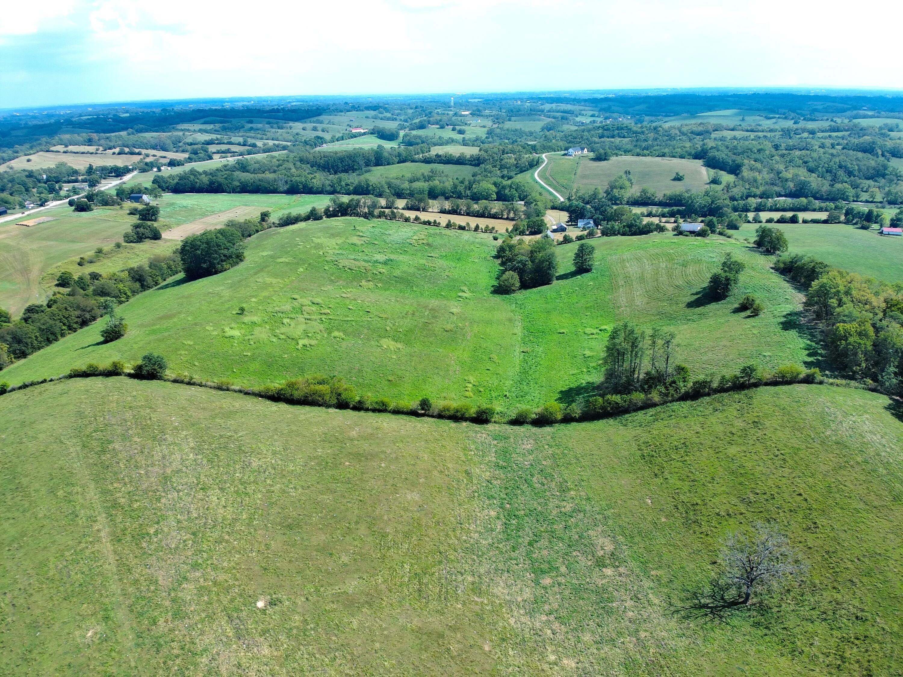 1363 Levy Road Paris, KY 40361 - Photo 7 of 35 MAX_0172