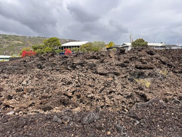 a view of a lake with a building in the background