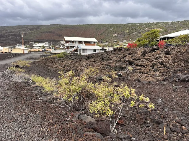 a view of a lake with a city