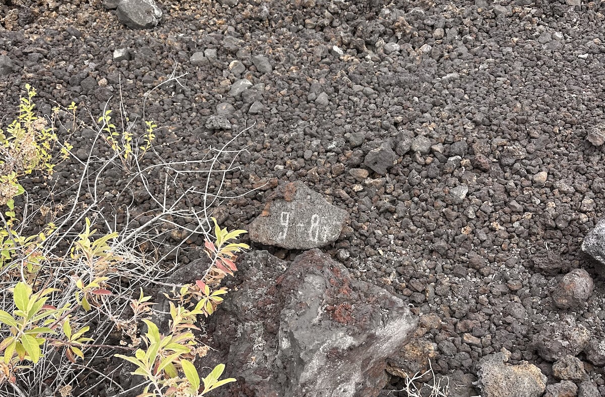 8 Akahi Avenue Captain Cook, HI 96704 - Photo 10 of 10 a aerial view of a house with a yard