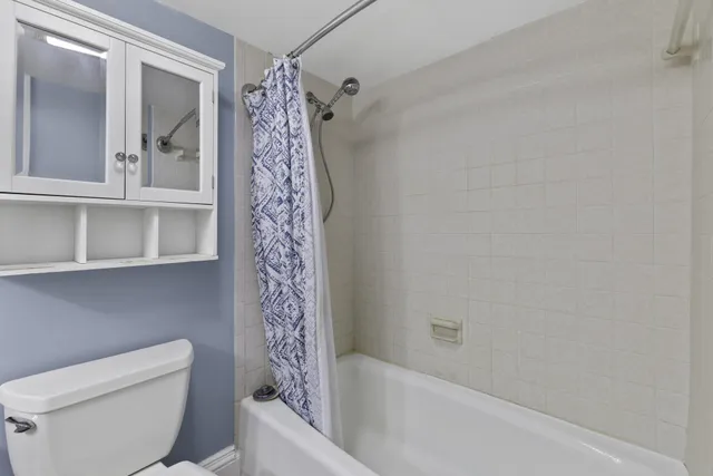 a bathroom with a toilet and a bathtub