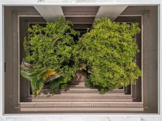 a view of a garden from a porch