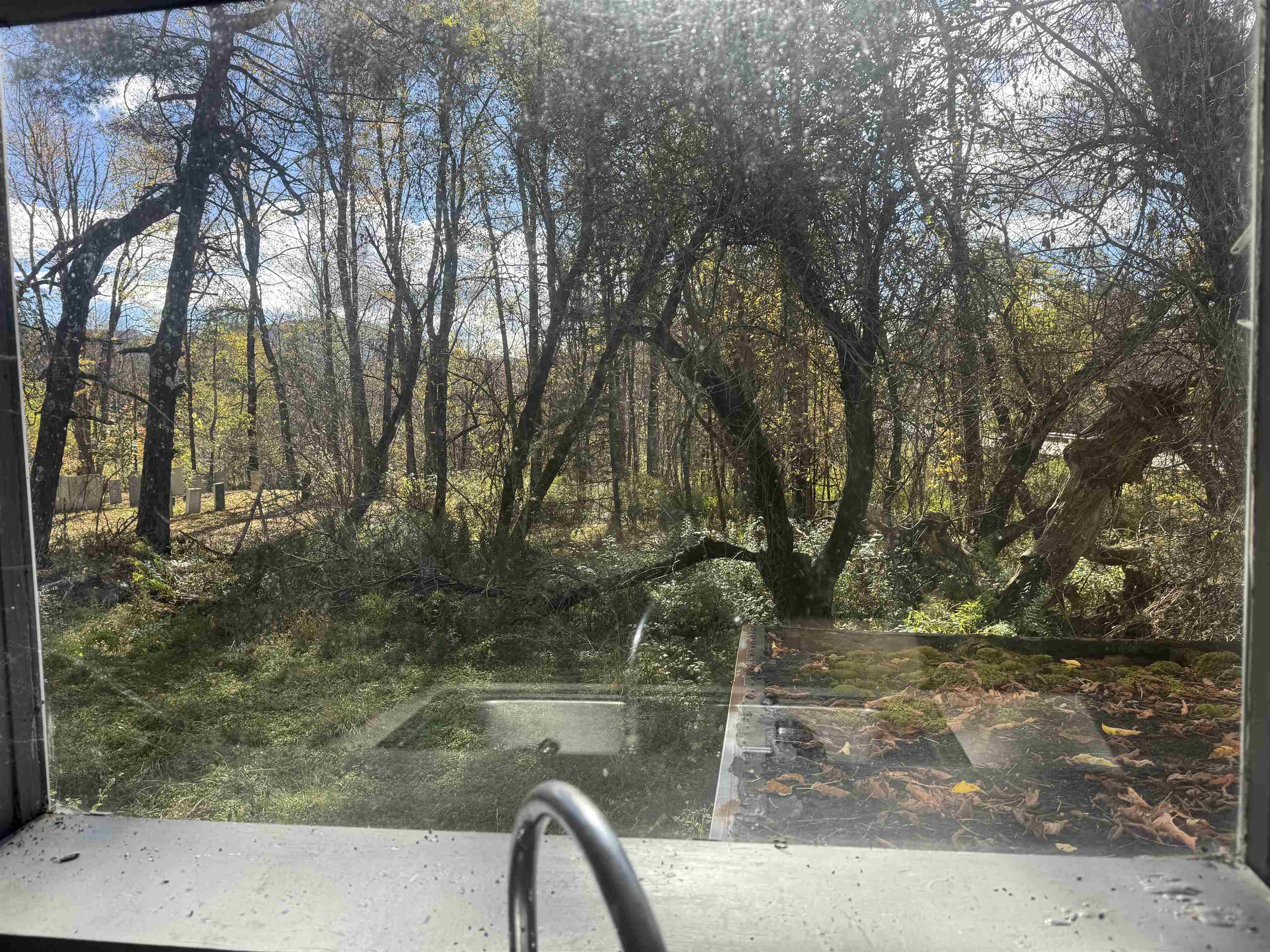 12 Delong Road Duxbury, VT 05660 - Photo 23 of 32