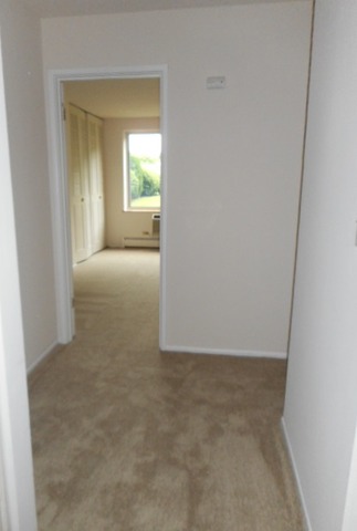 1117 South Old Wilke Road, Unit 106 Rolling Meadows, IL 60005 - Photo 2 of 13 an empty room with windows