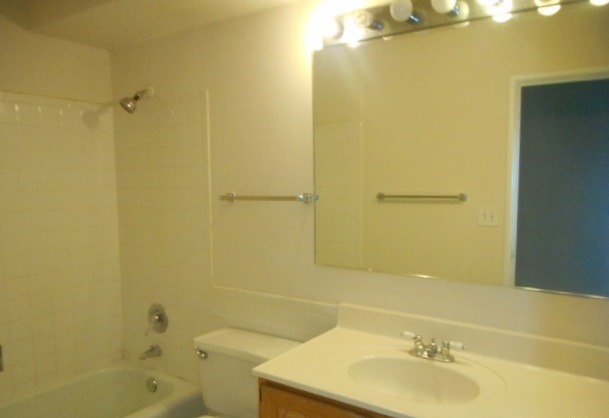 1117 South Old Wilke Road, Unit 106 Rolling Meadows, IL 60005 - Photo 12 of 13 a bathroom with a sink toilet and shower