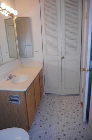 1117 South Old Wilke Road, Unit 106 Rolling Meadows, IL 60005 - Photo 13 of 13 a bathroom with a sink a toilet and mirror