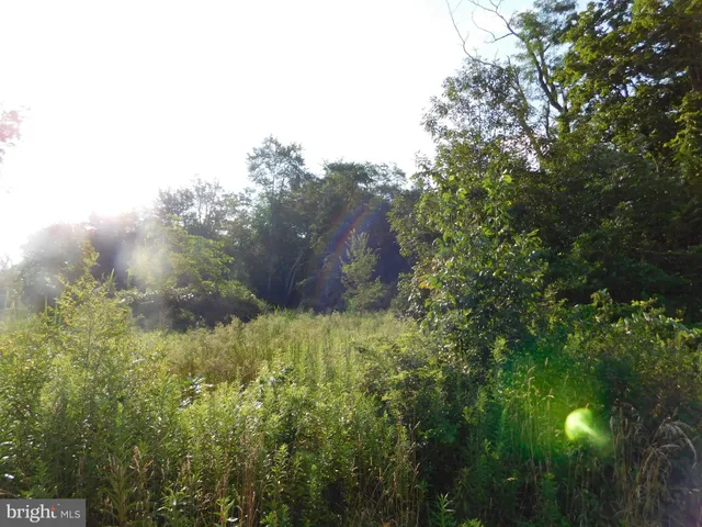 a big yard with lots of green space