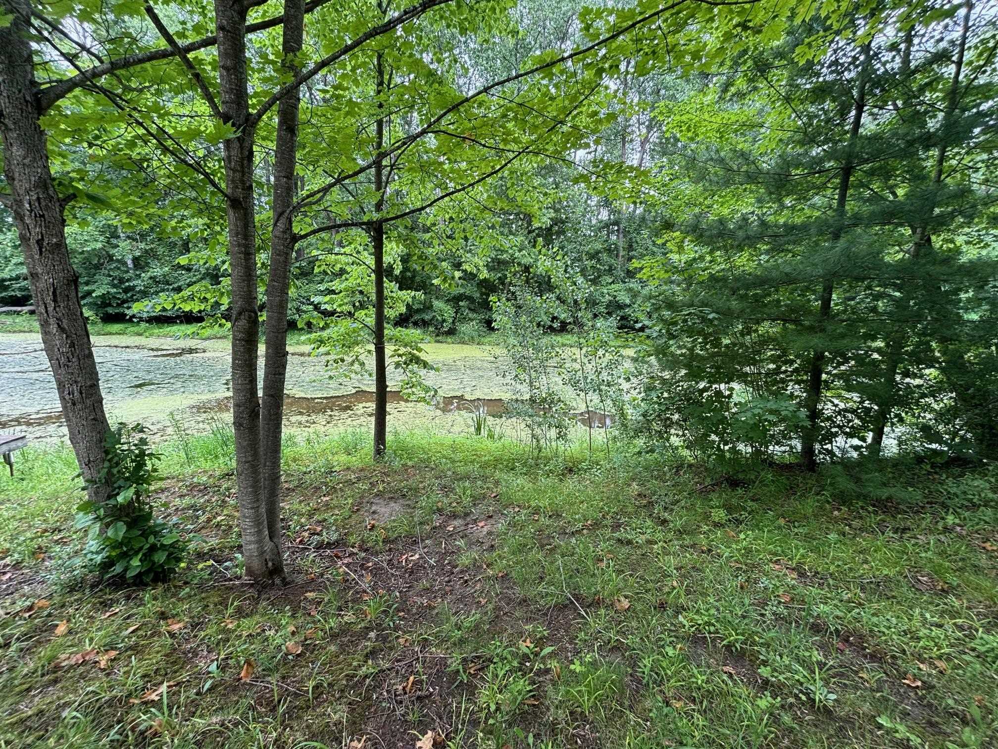 4141 Wieman Road Beaverton, MI 48612 - Photo 2 of 5