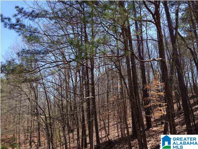 0 Woolfolk Road, Unit 3 ACRES Munford, AL 36268 - Photo 9 of 24