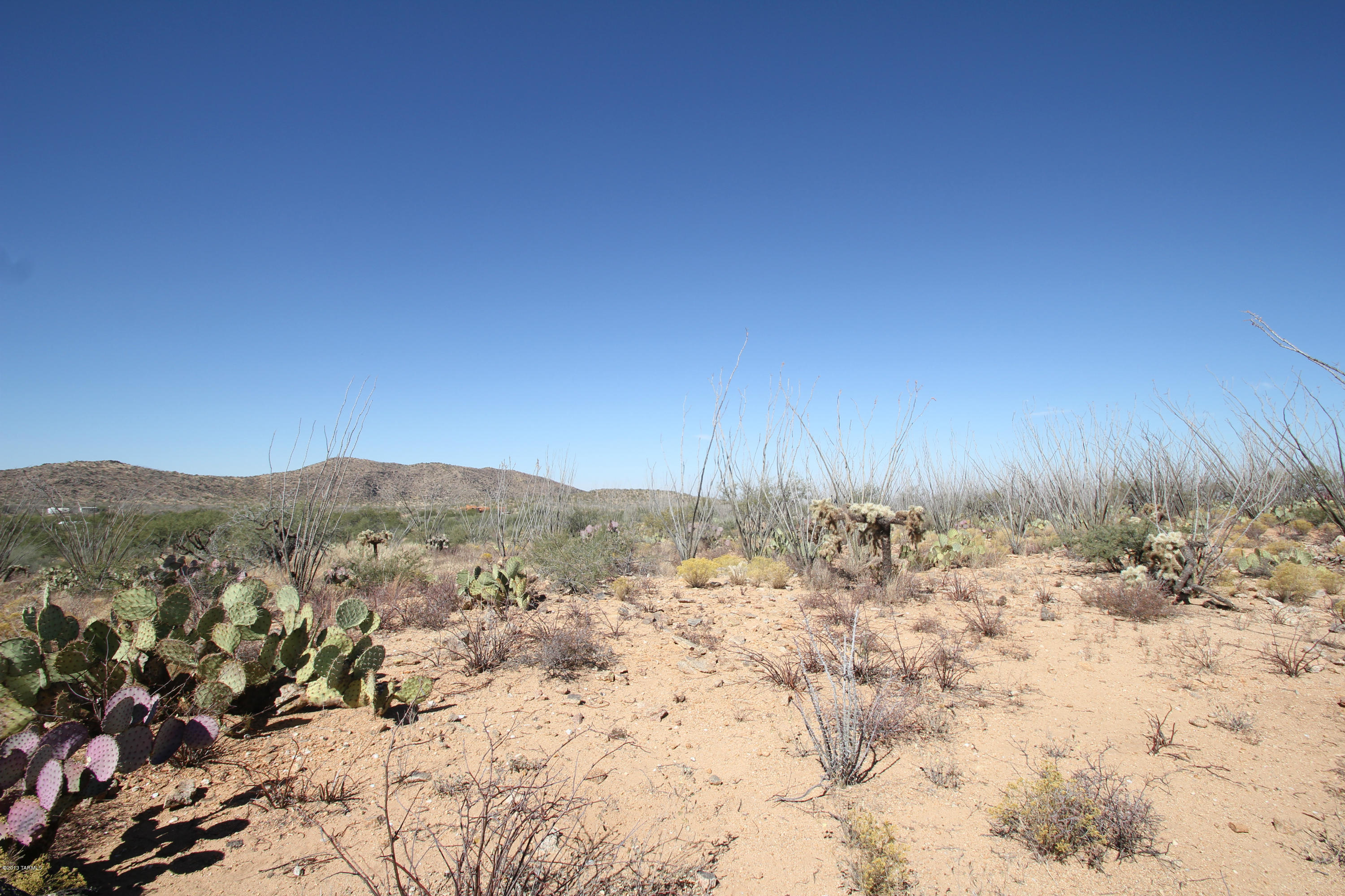 Pinto Road Sahuarita, AZ 85629 - Photo 8 of 17