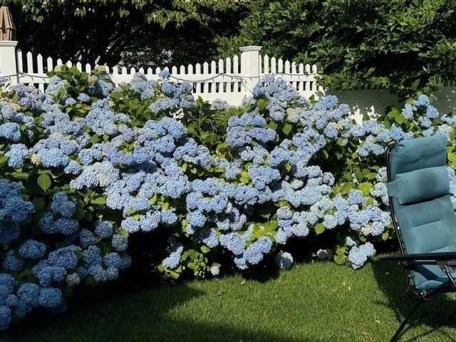 4 Dean Road Marblehead, MA 01945 - Photo 31 of 38 a bunch of flowers are in a garden