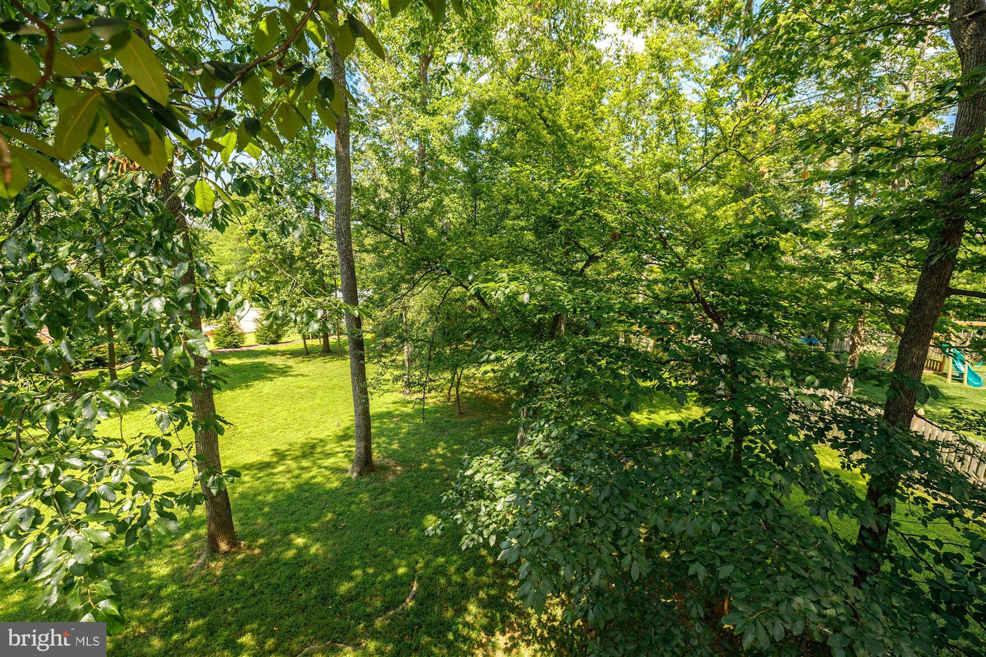 10200 Counselman Road Potomac, MD 20854 - Photo 16 of 82 what a view!
