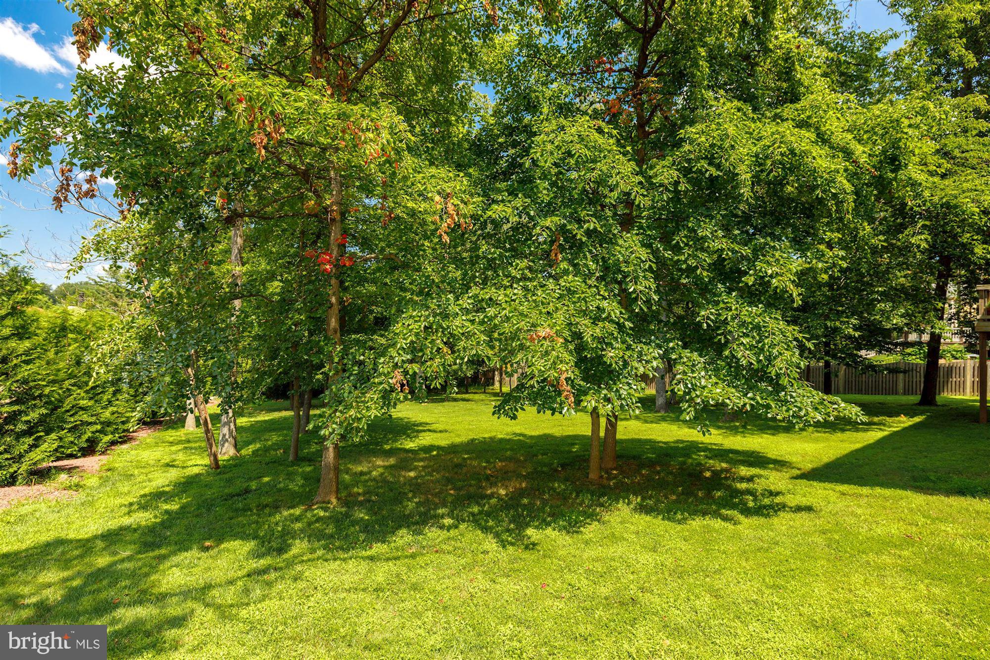 10200 Counselman Road Potomac, MD 20854 - Photo 80 of 82 Gallery Image 80