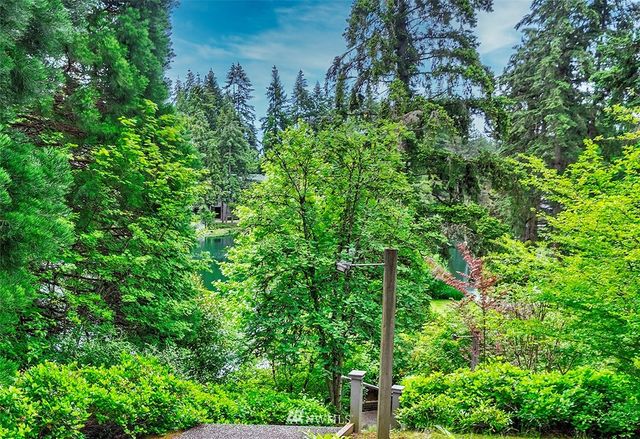 a plant view in yard