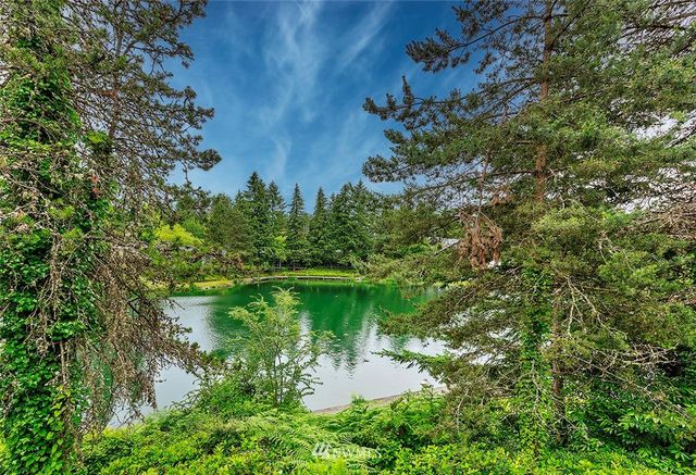 a view of a lake with a tree