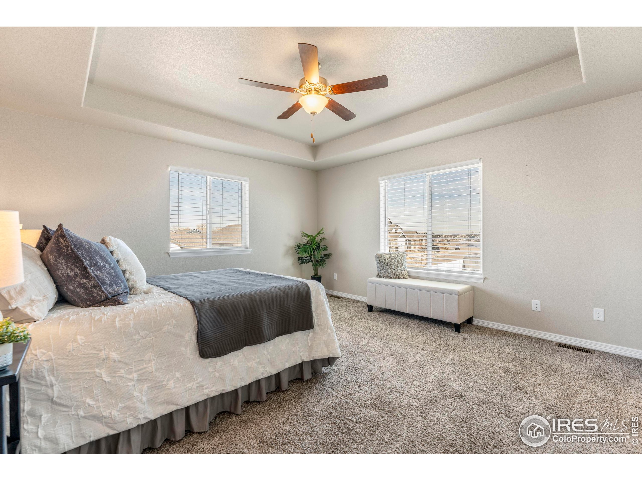 4527 Longmead Drive Windsor, CO 80550 - Photo 15 of 32 a living room with a bed furniture and a window