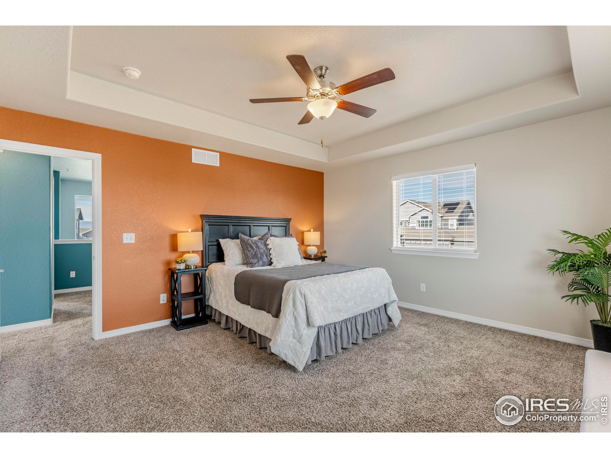 4527 Longmead Drive Windsor, CO 80550 - Photo 17 of 32 a spacious bedroom with a bed and a ceiling fan
