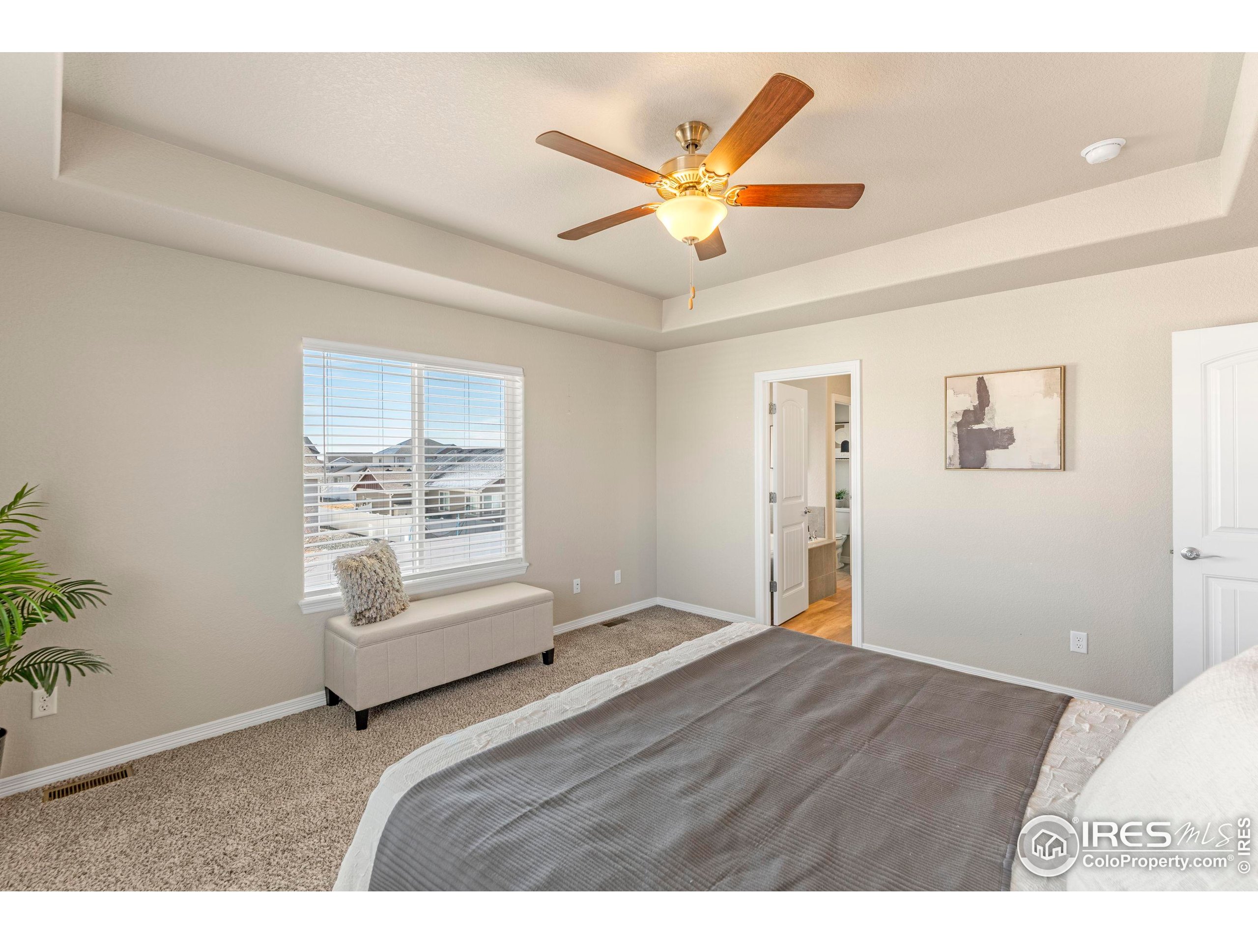 4527 Longmead Drive Windsor, CO 80550 - Photo 18 of 32 a view of livingroom with furniture