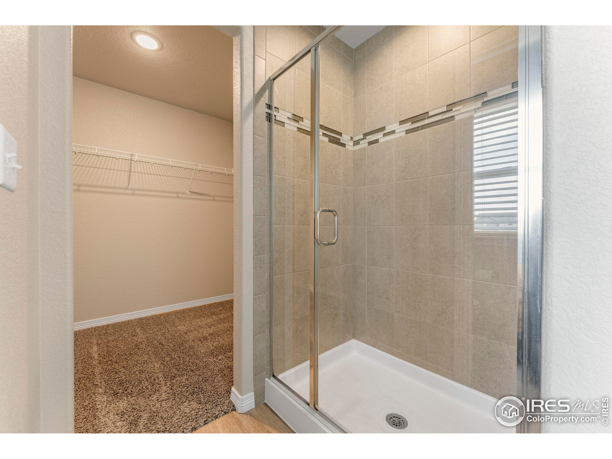 4527 Longmead Drive Windsor, CO 80550 - Photo 21 of 32 a bathroom with a shower and a sink