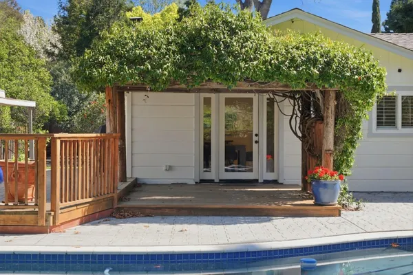 a view of a yard with plants and large trees