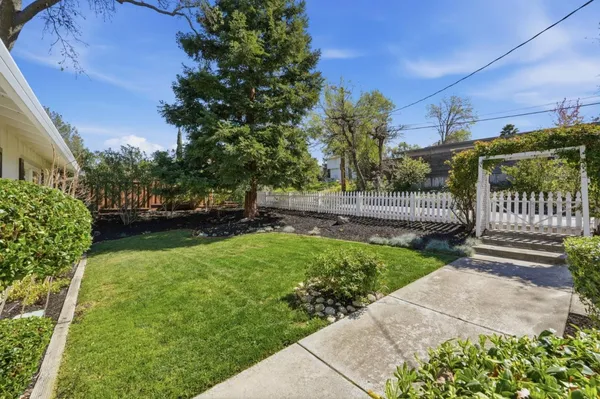 a view of a garden with a tree