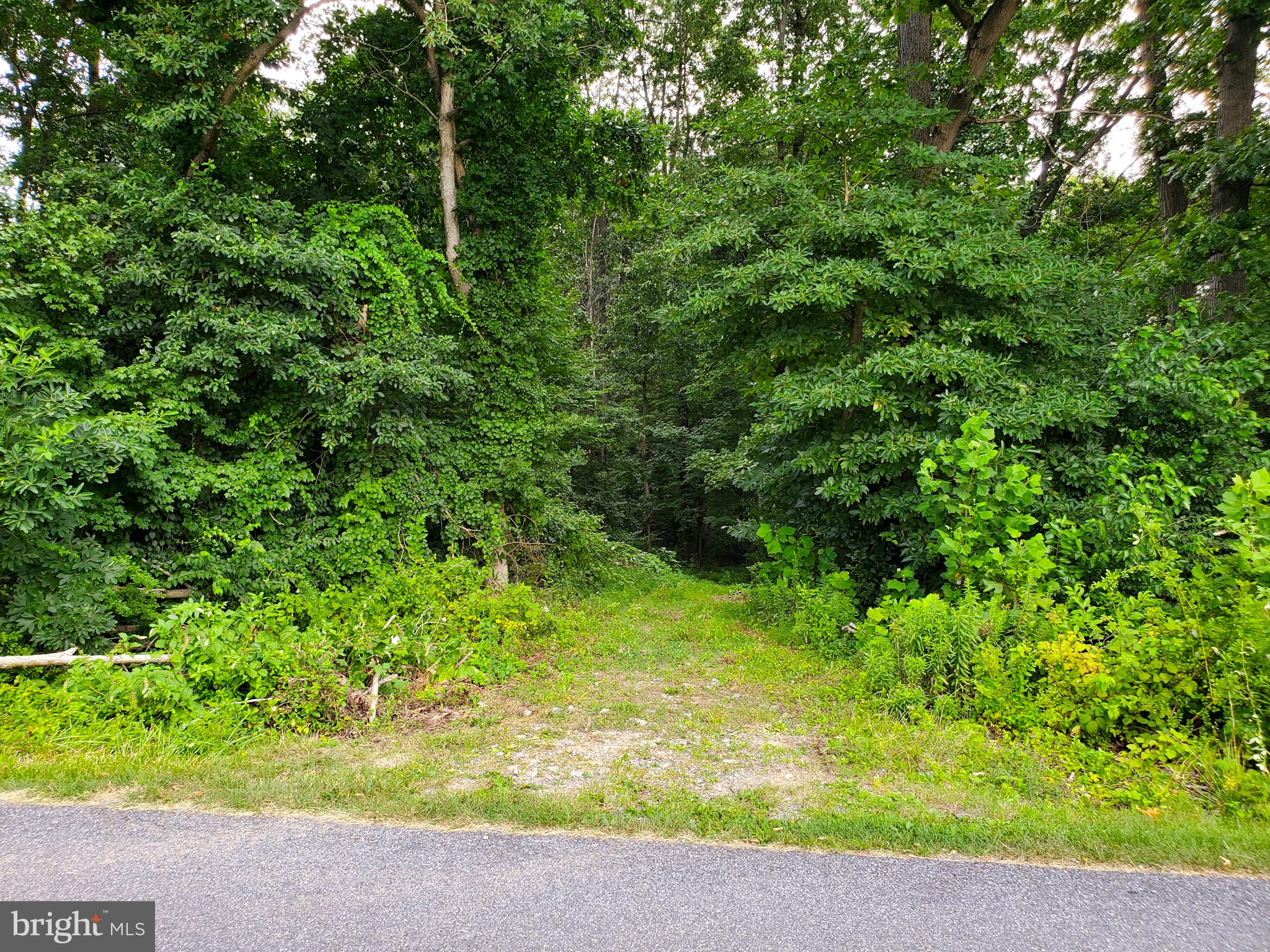 0 Acorn Lane Lititz, PA 17543 - Photo 1 of 11 Gallery Image 1