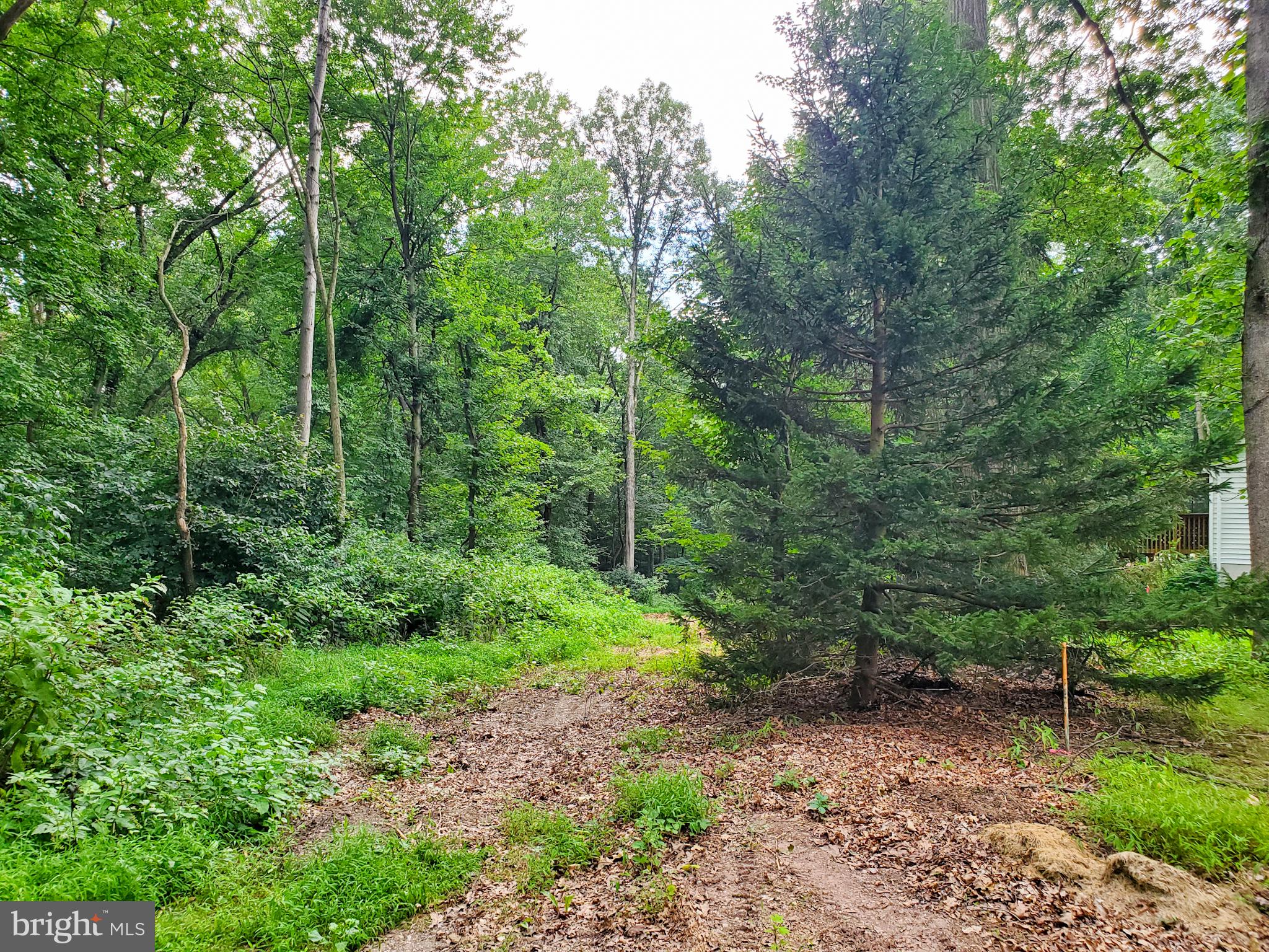 0 Acorn Lane Lititz, PA 17543 - Photo 3 of 11 Right-of-way easement/future driveway