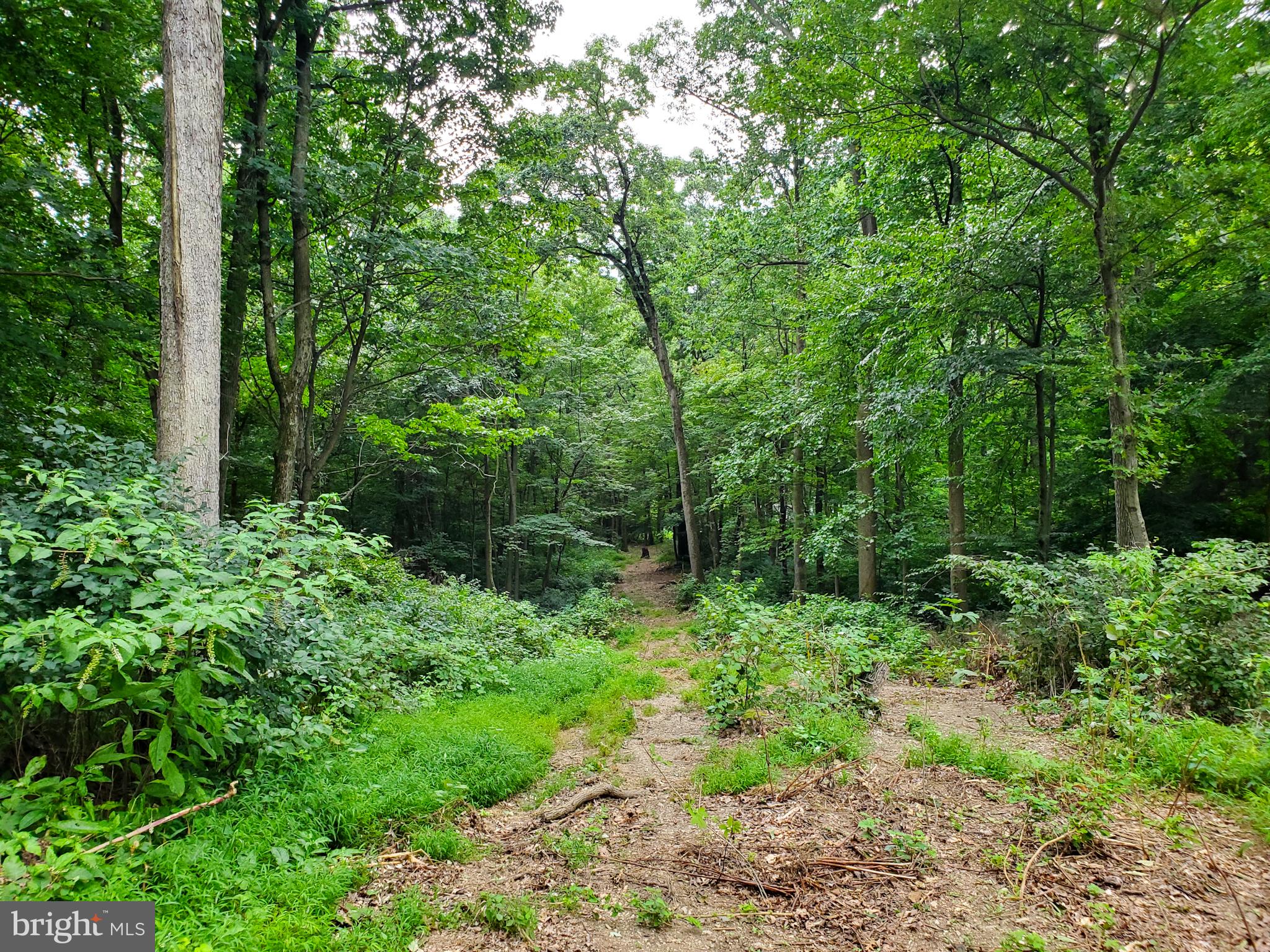 0 Acorn Lane Lititz, PA 17543 - Photo 4 of 11 Right-of-way easement/future driveway