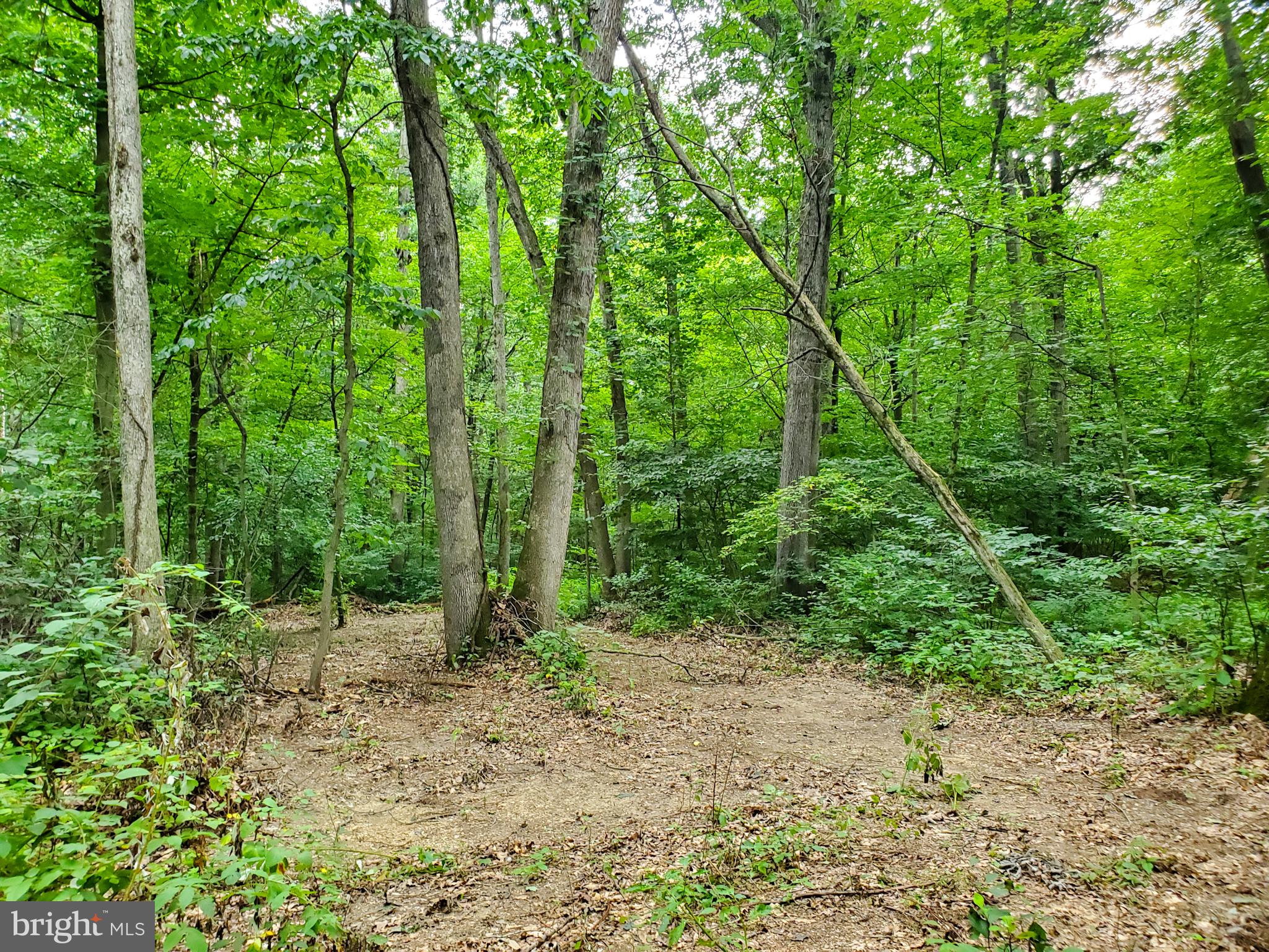 0 Acorn Lane Lititz, PA 17543 - Photo 9 of 11 Cleared area