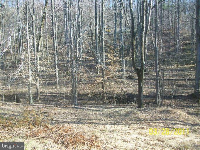 2142 Frogtown Road Bluemont, VA 20135 - Photo 1 of 24 Exterior 1