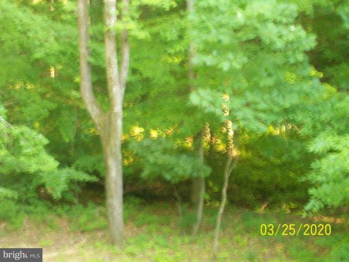 2142 Frogtown Road Bluemont, VA 20135 - Photo 14 of 24 back yard